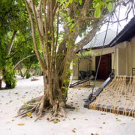 Imagen de la habitación del Hotel Embudu Village. Foto 13