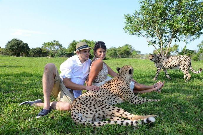 Imagen de los exteriores del Hotel Emdoneni Lodge. Foto 16
