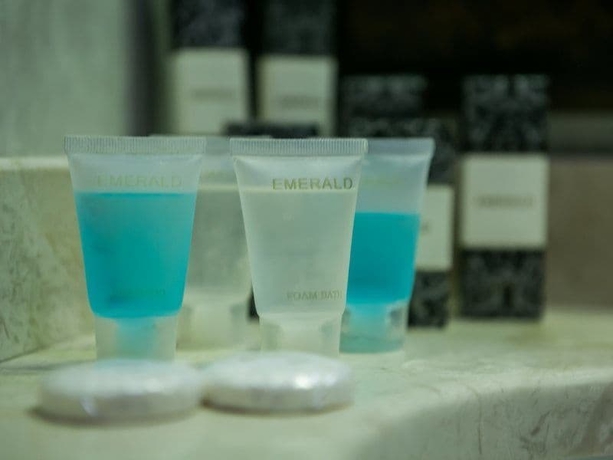 Imagen de la habitación del Hotel Emerald, Baku. Foto 15