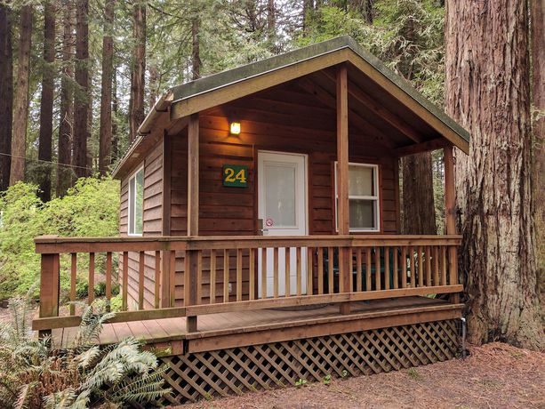 Imagen de la habitación del Hotel Emerald Forest Cabins. Foto 6