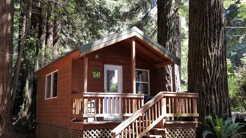 Imagen de la habitación del Hotel Emerald Forest Cabins. Foto 9