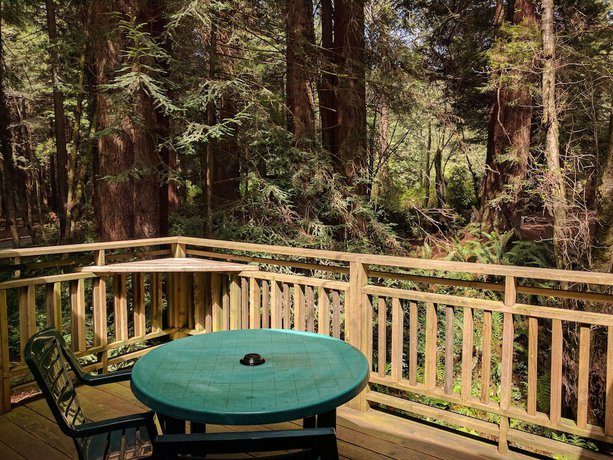 Imagen de la habitación del Hotel Emerald Forest Cabins. Foto 10