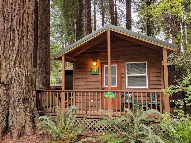 Imagen general del Hotel Emerald Forest Cabins. Foto 1
