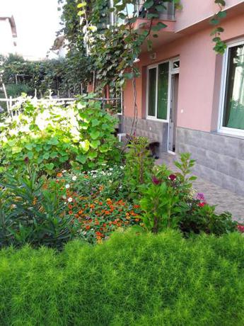Imagen general del Hotel Emerald, Kiten. Foto 3