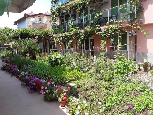 Imagen general del Hotel Emerald, Kiten. Foto 4