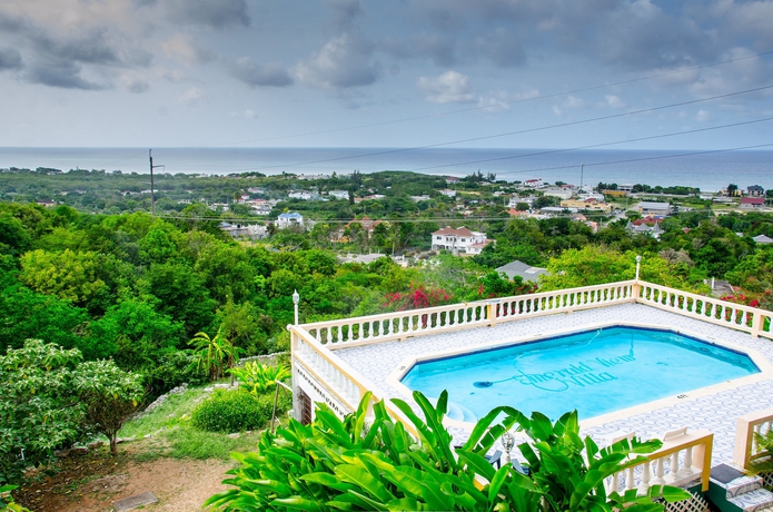 Imagen de la piscina del Hotel Emerald View Resort Villa. Foto 16