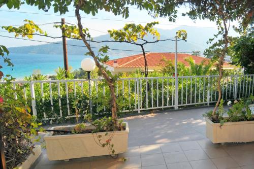 Imagen general del Hotel Emerald and Suites. Foto 11