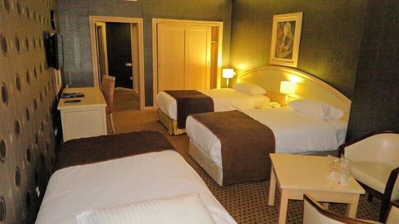 Imagen de la habitación del Hotel Emexotel Kocaeli. Foto 16