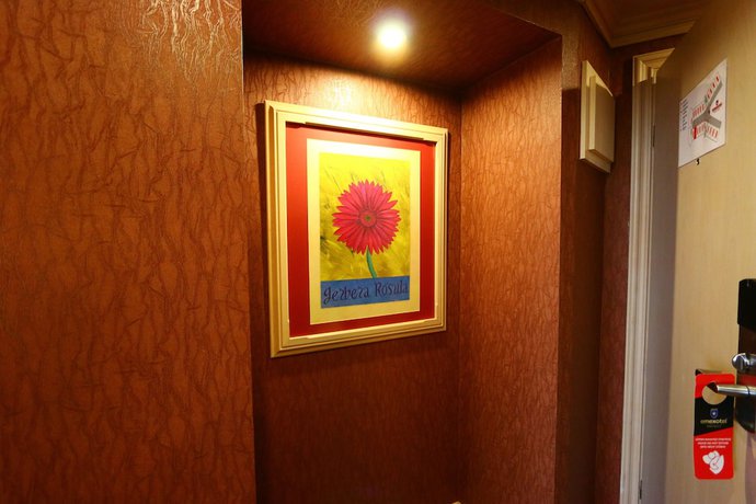 Imagen de la habitación del Hotel Emexotel Kocaeli. Foto 18
