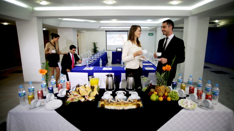 Imagen de los interiores del Hotel Emily, Pachuca. Foto 14