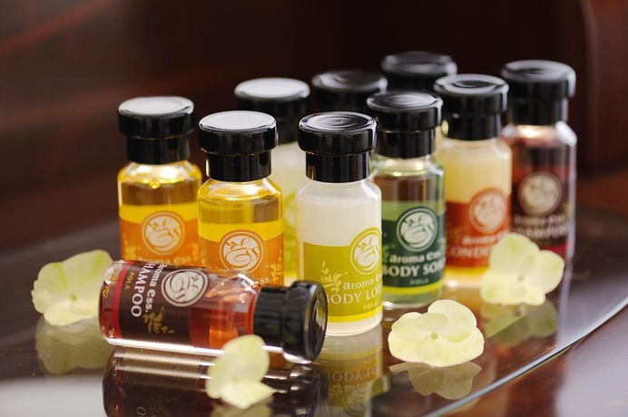 Imagen de la habitación del Hotel Emisia Sapporo. Foto 12