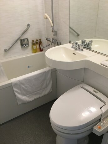 Imagen de la habitación del Hotel Emisia Tokyo Tachikawa. Foto 13