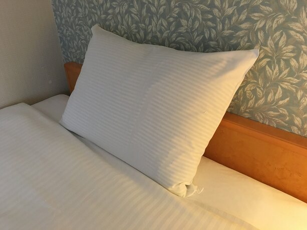 Imagen de la habitación del Hotel Emisia Tokyo Tachikawa. Foto 27