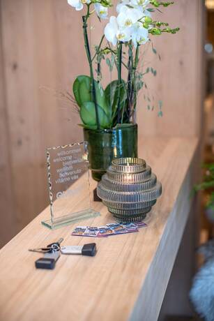 Imagen general del Hotel Emma Deluxe. Foto 7