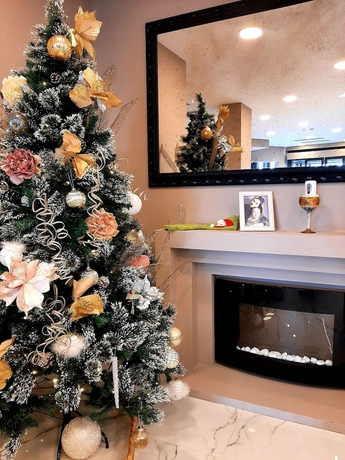 Imagen de los interiores del Hotel Emma Fiera. Foto 17