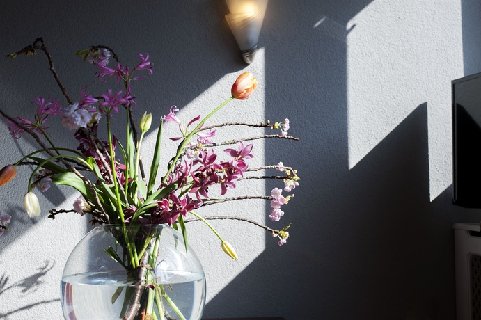 Imagen de los interiores del Hotel Emma, Rotterdam. Foto 13