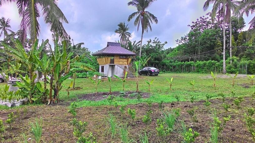 Imagen general del Hotel Emperor's Organic Farm. Foto 1