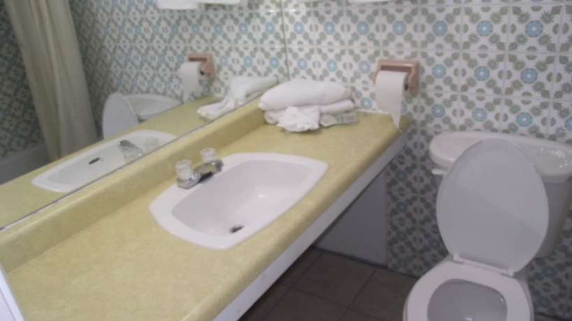 Imagen de la habitación del Hotel Empress Inn and Suites By The Falls. Foto 4