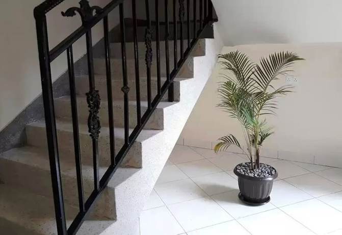 Imagen de los interiores del Hotel Emra. Foto 19