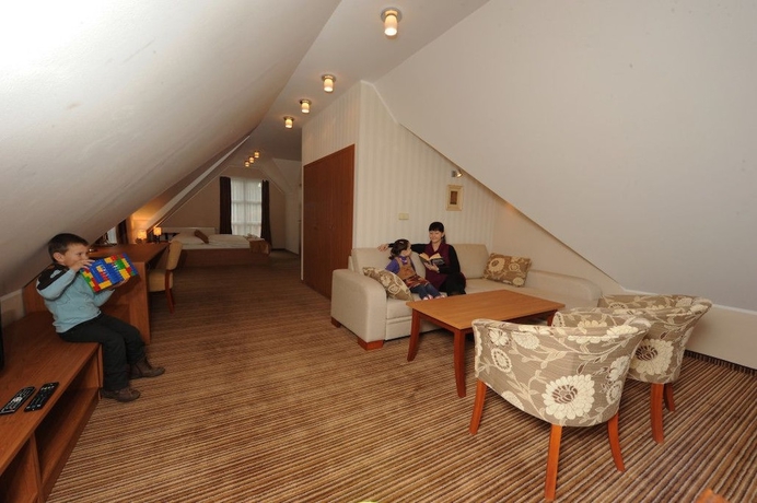 Imagen de la habitación del Hotel Enci&aacute;n, Rajeck&eacute; Teplice. Foto 13