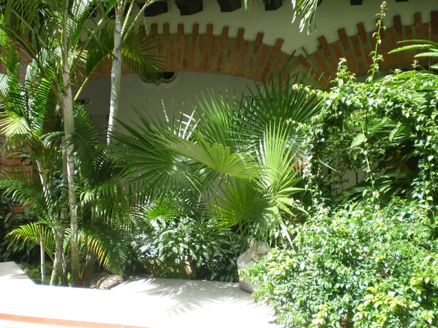 Imagen de los exteriores del Hotel Encino Malecón Centro Puerto Vallarta. Foto 6