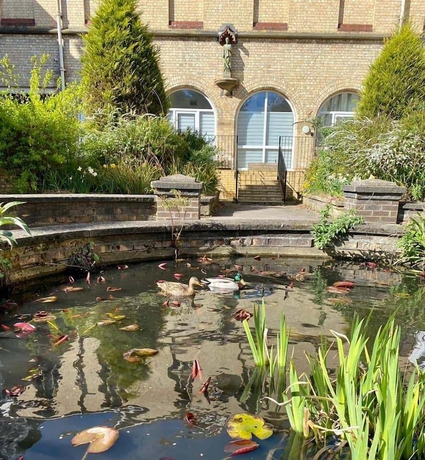 Imagen de los exteriores del Hotel Endsleigh Park. Foto 18