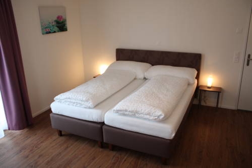 Imagen general del Hotel Engel, EMMETTEN . Foto 2