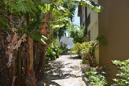 Imagen de los exteriores del Hotel Engenho Velho. Foto 8