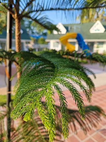 Imagen de los exteriores del Hotel English Resotel. Foto 17