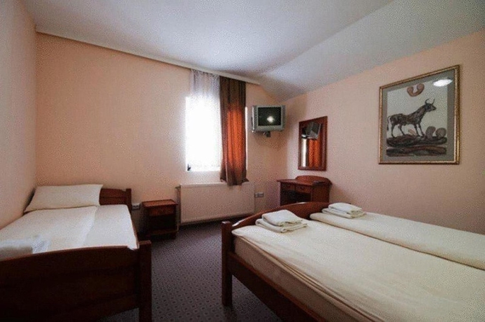 Imagen de la habitación del Hotel Enigma, Žabljak. Foto 9