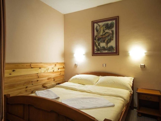 Imagen de la habitación del Hotel Enigma, Žabljak. Foto 15