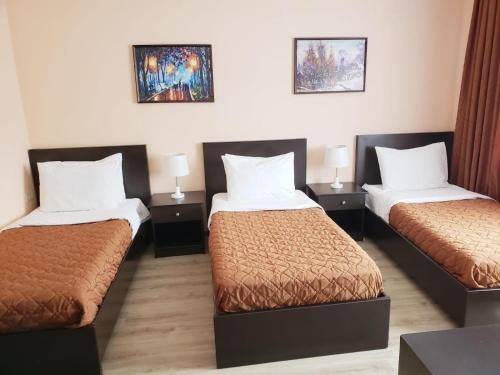 Imagen de la habitación del Hotel Enkelana. Foto 10