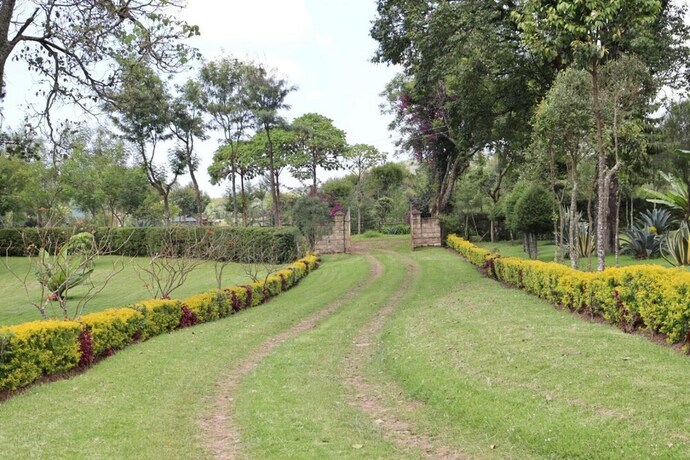 Imagen general del Hotel Enkorika Eco-Village. Foto 15