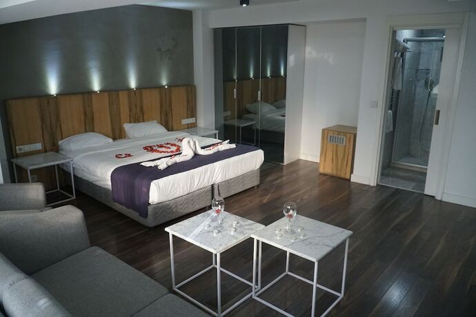 Imagen de la habitación del Hotel Enotel Karaca. Foto 18