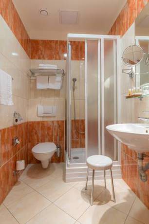 Imagen de la habitación del Hotel Ensana Centr&aacute;ln&iacute; L&aacute;zně. Foto 6