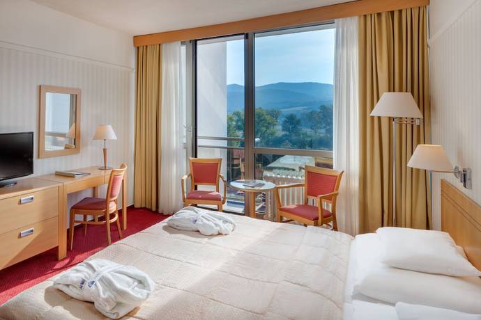 Imagen de la habitación del Hotel Ensana Esplanade. Foto 11