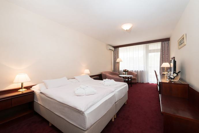 Imagen de la habitación del Hotel Ensana Esplanade. Foto 13