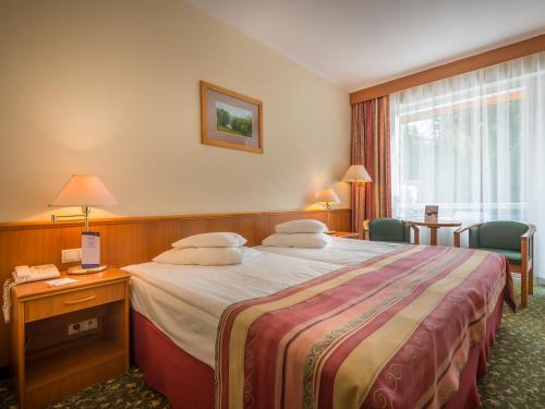 Imagen de la habitación del Hotel Ensana Sovata. Foto 6