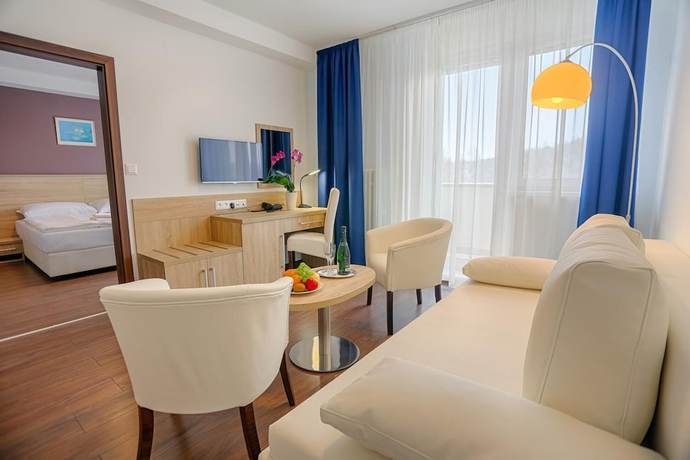Imagen de la habitación del Hotel Ensana Spa Smrdaky. Foto 8