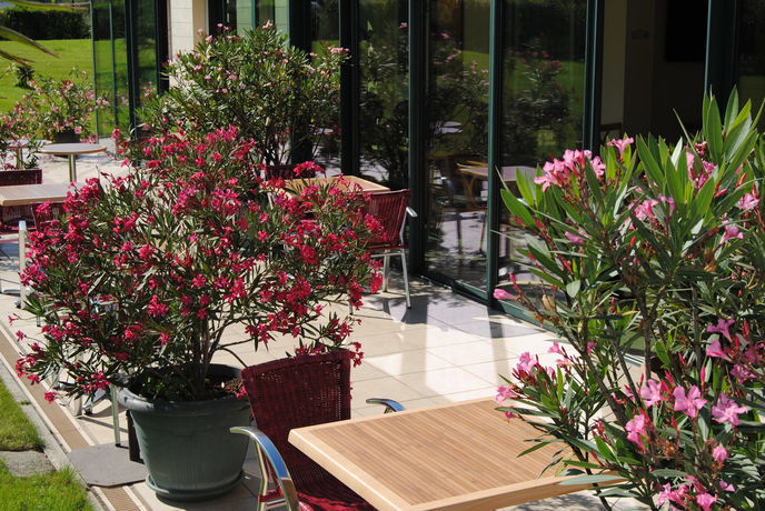 Imagen de la habitación del Hotel Entre Beauce Et Perche. Foto 5