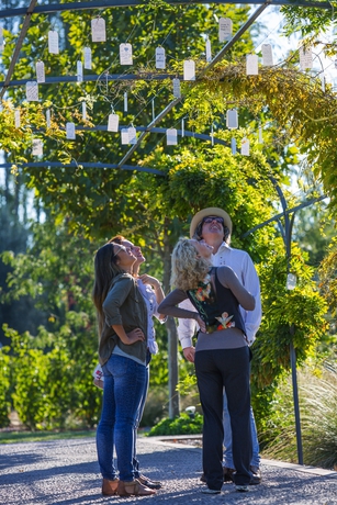 Imagen de los exteriores del Hotel Entre Cielos Wine and Wellness. Foto 14