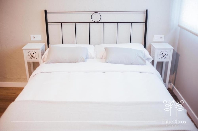 Imagen de la habitación del Hotel EntreOlivos, Badajoz. Foto 6