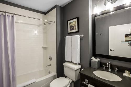 Imagen de la habitación del Hotel Envision St. Paul South, An Ascend Col. Foto 4