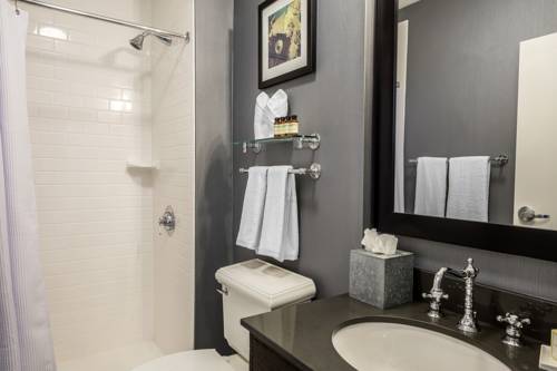 Imagen de la habitación del Hotel Envision St. Paul South, An Ascend Col. Foto 5