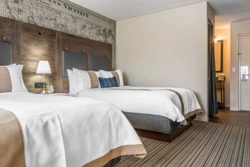 Imagen de la habitación del Hotel Envision St. Paul South, An Ascend Col. Foto 14