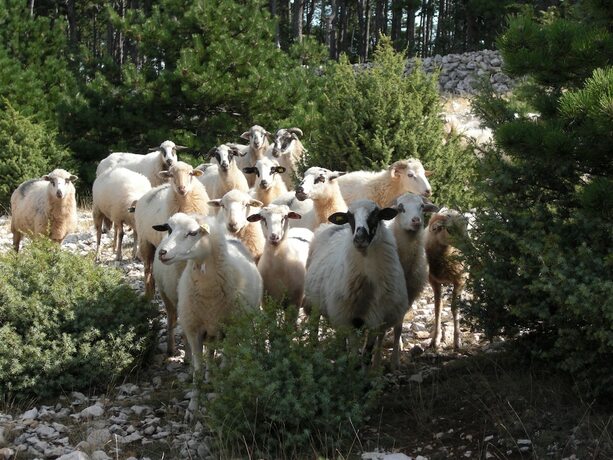 Imagen general del Hotel Eola Leisure Rooms. Foto 14