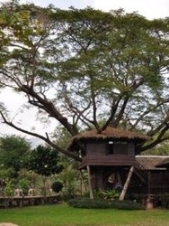 Imagen de la piscina del Hotel E-outfitting Doikham Resort. Foto 15