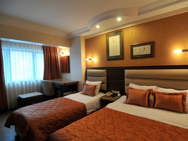 Imagen de la habitación del Hotel Ephesus Istanbul. Foto 5