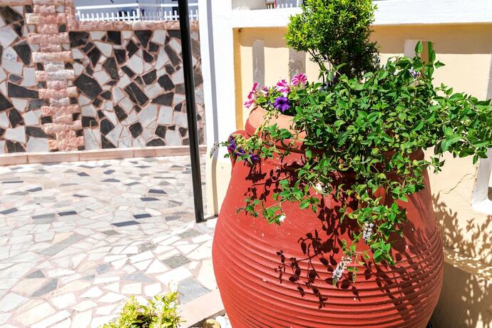 Imagen general del Hotel Erato Apartments, Rethymnon. Foto 8