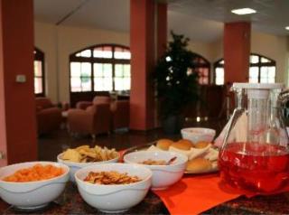 Imagen general del Hotel Erbaluce. Foto 8